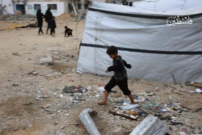 photo_2025-02-05_17-29-53