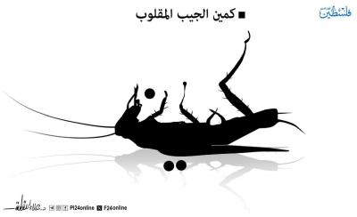 photo_2025-04-21_16-16-19