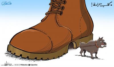 photo_2025-04-23_20-04-54