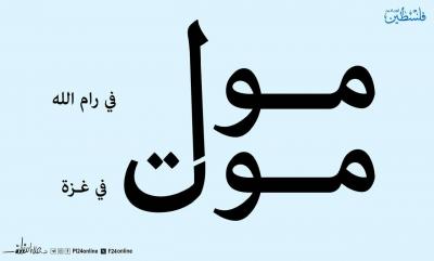 photo_2025-04-14_21-10-51