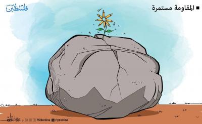 photo_2025-04-20_18-11-03