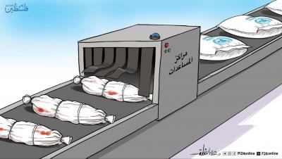 photo_2025-06-29_22-35-02