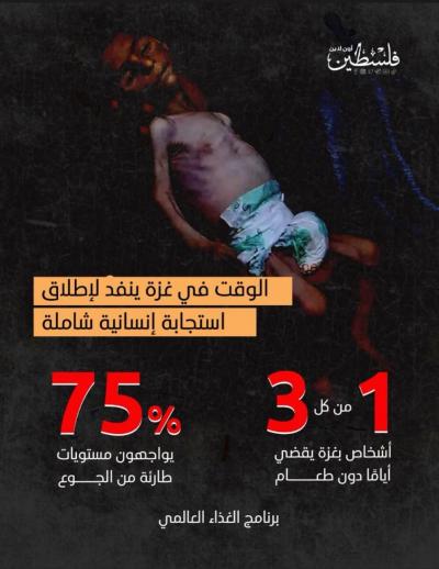 photo_2025-07-30_21-59-33