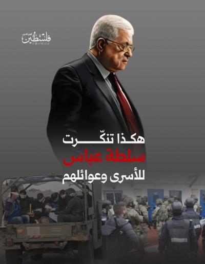 photo_2025-07-09_11-59-49