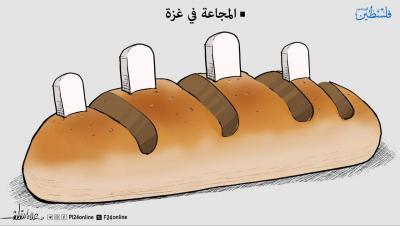 photo_2025-08-01_19-49-40