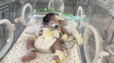 photo_2025-09-04_22-06-55 (4)