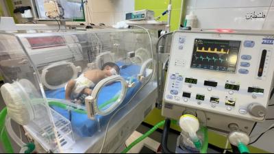 photo_2025-09-04_22-06-55 (3)