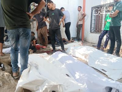 5942855293409027241 (1)