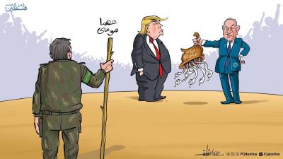 photo_2025-09-04_18-19-19