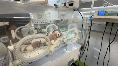 photo_2025-09-04_22-06-55