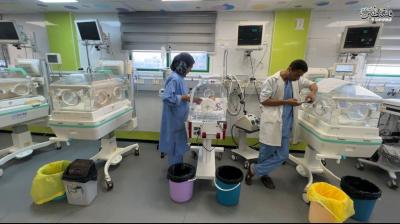 photo_2025-09-04_22-06-55 (2)