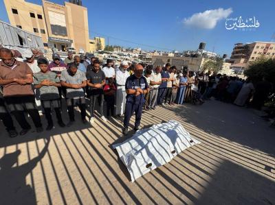 5913282394876660591 (1)