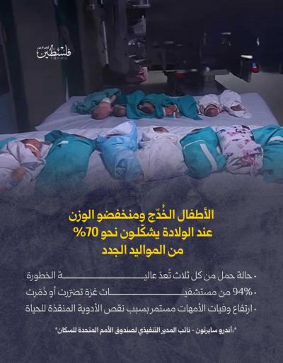 photo_2025-10-26_08-59-13