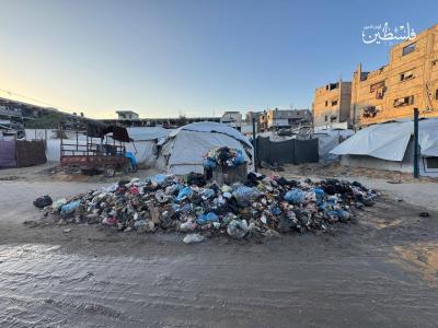 photo_2025-11-17_17-52-10