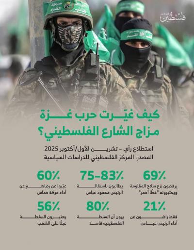 photo_2025-11-13_19-19-30