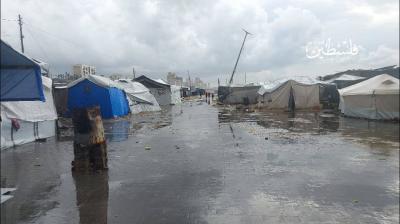 photo_2025-11-14_20-51-47