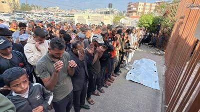 photo_2025-11-24_15-52-44