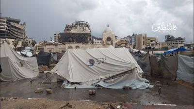 photo_2025-11-14_20-51-45 (2)