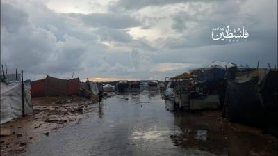 photo_2025-11-14_20-51-48