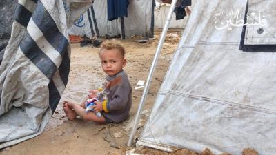 photo_2025-11-14_19-58-45