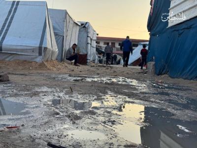 photo_2025-11-17_17-52-06