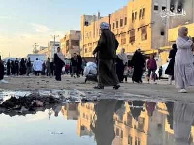 photo_2025-11-17_17-52-17