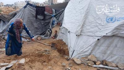 photo_2025-11-14_19-58-42