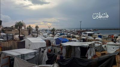 photo_2025-11-14_20-51-48 (2)