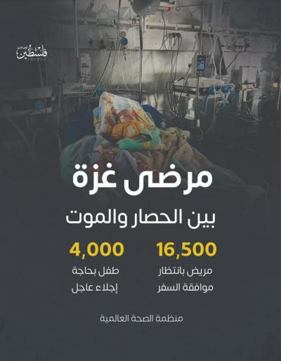 photo_2025-11-17_16-05-13