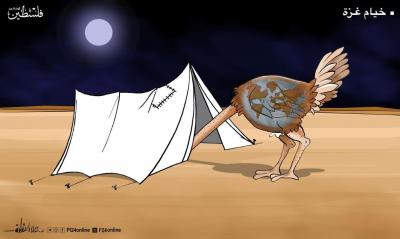 5868751972092021880 (1)