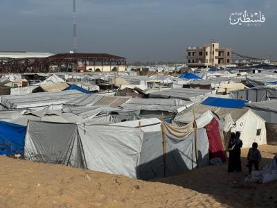 5d32a234-6619-49af-b242-c7e3b8b79f3b