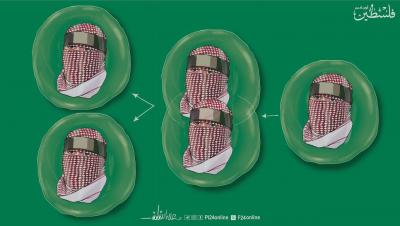 photo_2025-12-29_17-32-31