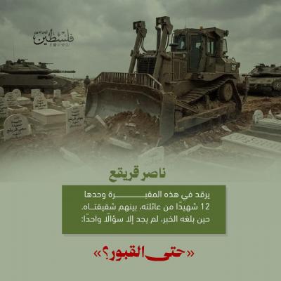 photo_2026-01-29_13-57-56 (3)