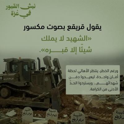 photo_2026-01-29_13-57-56 (2)