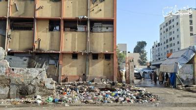 photo_2026-01-29_20-38-58