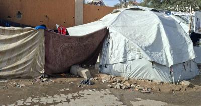 photo_2026-01-29_20-38-53