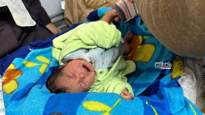 photo_2026-01-18_15-23-04