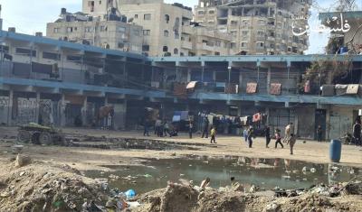 photo_2026-01-29_20-38-54