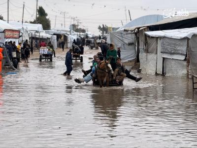 5960971160524622904 (1)