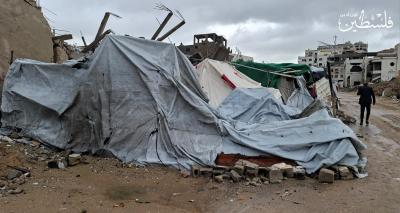 e2b8d483-781e-4582-884c-ff665446b3d5