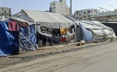 photo_2026-01-29_20-38-57