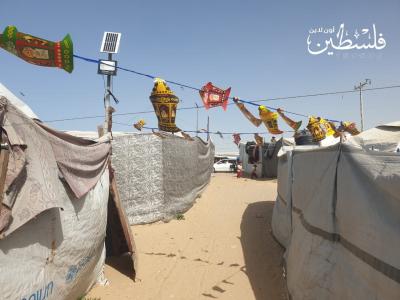 8e1edd6e-ebb5-4500-9ccd-a5efa79785c2