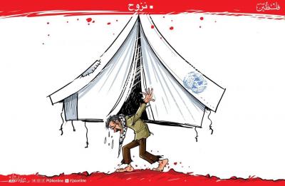 5888787333102898782 (1)