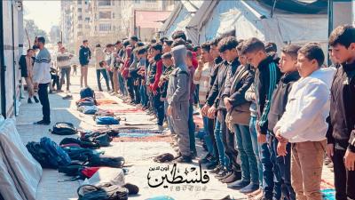 e49166f6-9019-4b76-970a-bef19d0733fb