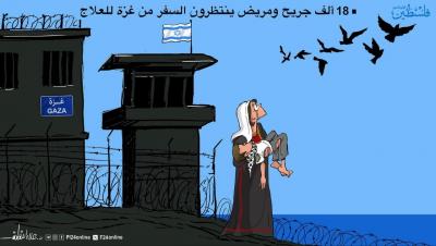 photo_2026-04-19_23-11-46