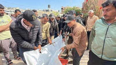 6016831178758884805 (1)