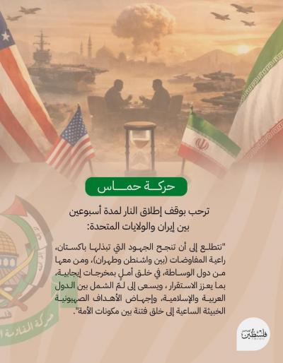 5967390002033397097 (1)