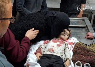 photo_2026-04-14_18-16-07