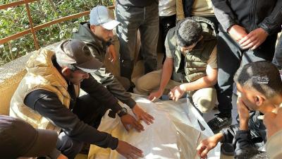 6008313721740004386 (1)