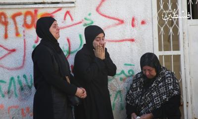 cdad9d3d-3486-4dd4-b699-568e4fdfbfc3